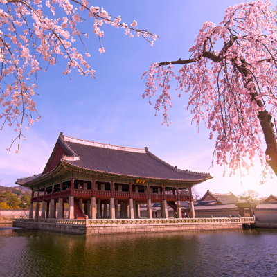 Sports Visa South Korea